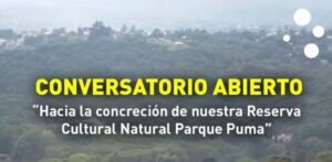 EN QUÉ MOMENTO DEL DEBATE SE LLEGA AL CONVERSATORIO PÚBLICO SOBRE LA RESERVA EL PUMA